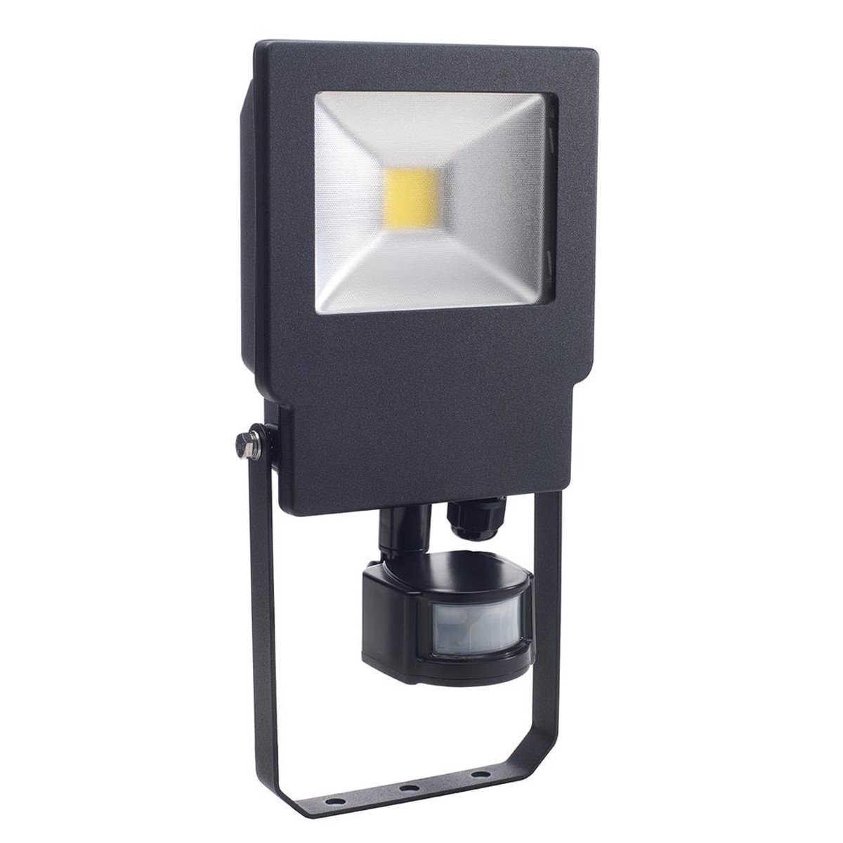 BELL 30W Skyline LED Floodlight 4000K with PIR sensor